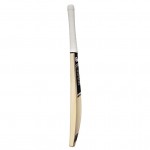 GM Icon 101 Kashmir Willow Cricket Bat